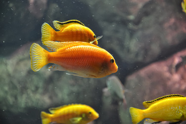 Similar image 21023583