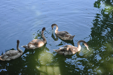 Similar image 21023584