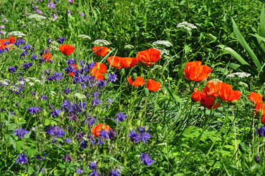 Similar image 21025112