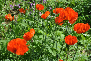 Similar image 21025113