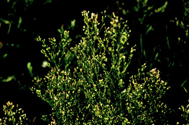 Similar image 21025122