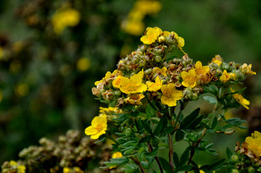 Similar image 21025123