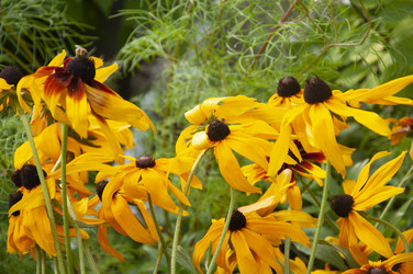 Similar image 21025125