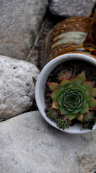 Similar image 21025126