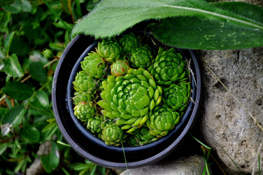 Similar image 21025127