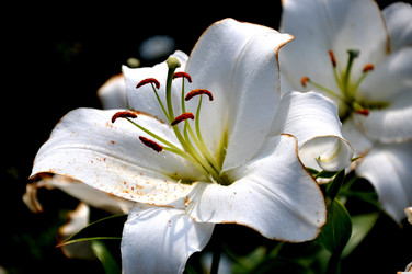 Similar image 21025130