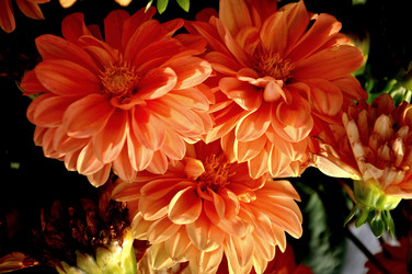 Similar image 21025131