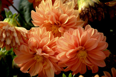 Similar image 21025132