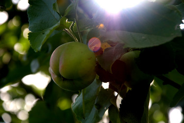 Similar image 21025244