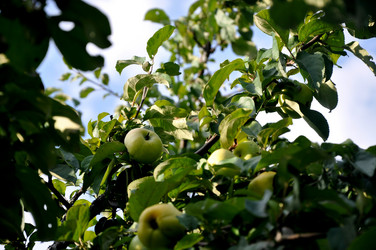 Similar image 21025245