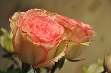 Similar image 21025246