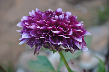 Similar image 21025250