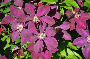 Similar image 21025251