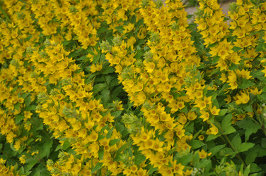 Similar image 21025254