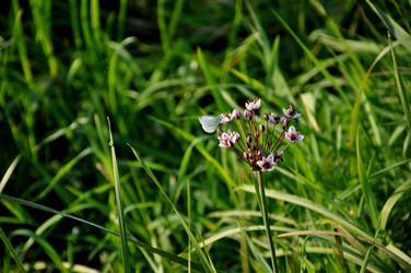 Similar image 21025255