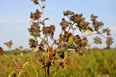 Similar image 21025256