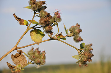 Similar image 21024440