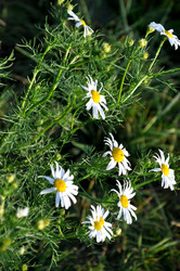 Similar image 21024441