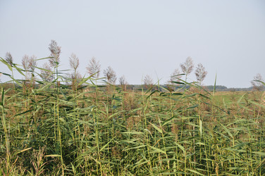 Similar image 21024444