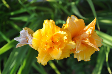 Similar image 21025311