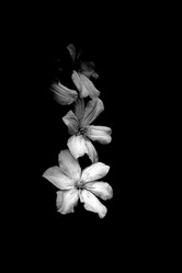 Similar image 21024623