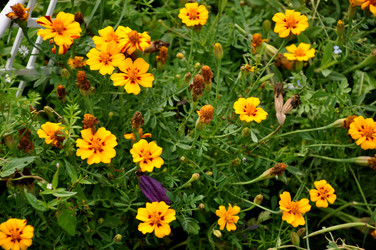 Similar image 21024624