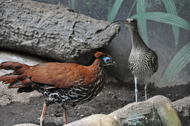 Similar image 21025094