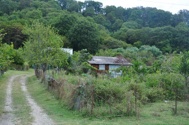 Similar image 21022052