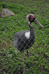 Similar image 21025095