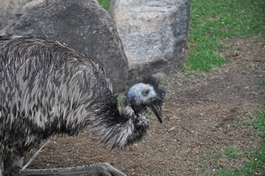 Similar image 21025096