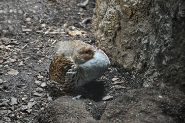 Similar image 21025097