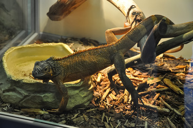 Similar image 21025098