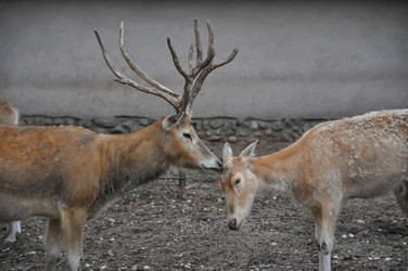 Similar image 21023588