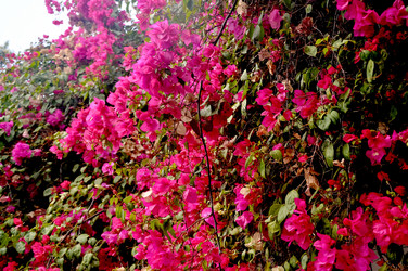 Similar image 21025100