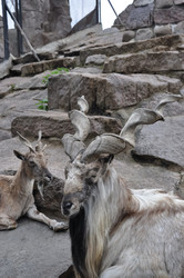 Similar image 21025133