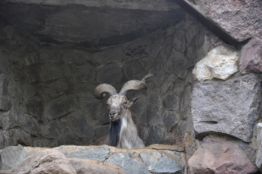 Similar image 21025134