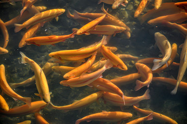 Similar image 21023963