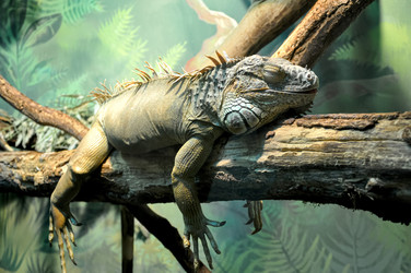 Similar image 21024164