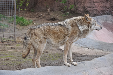 Similar image 21024166