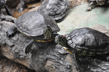 Similar image 21024168