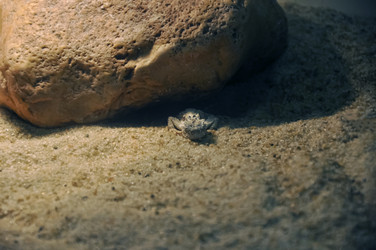 Similar image 21024169