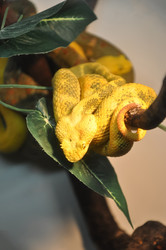 Similar image 21024170