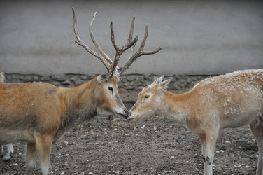 Similar image 21024171