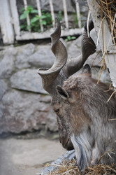 Similar image 21024172