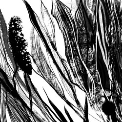 Similar image 21024173