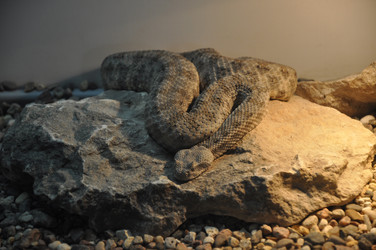 Similar image 21022053