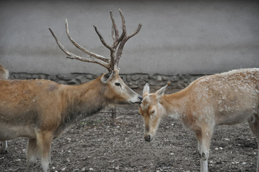 Similar image 21022054