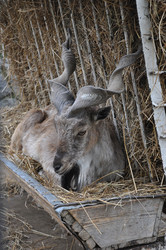 Similar image 21022073