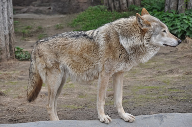 Similar image 21023518