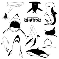 Similar image 21023589